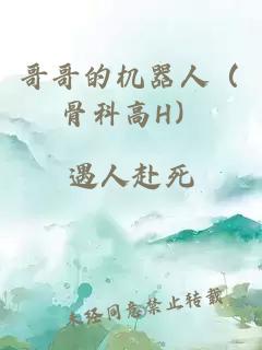 哥哥的機器人（骨科高H）